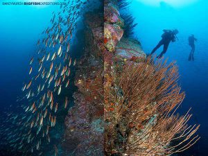 Tikapo pinnacle in Nuku Hiva