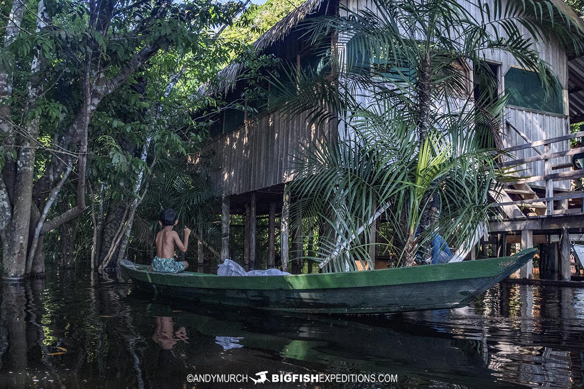 House on the Rio Negro.