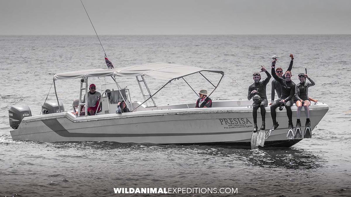 Whale Shark snorkeling boat in Mexico.