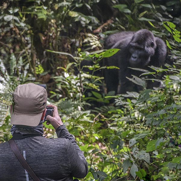 Intimate Wild Animal Encounters.