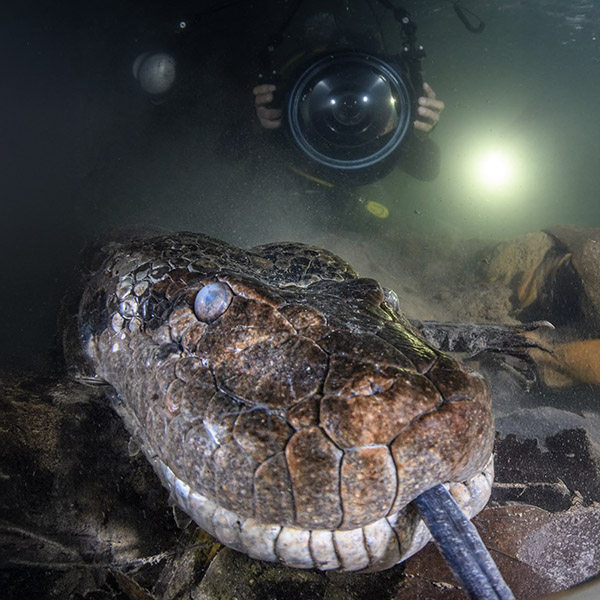 Snakes and Salamanders Trips.