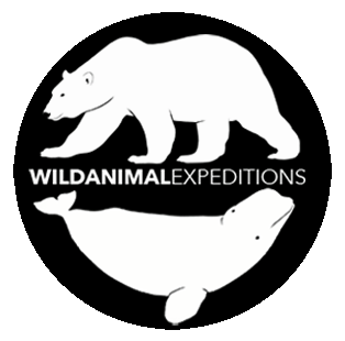 Wild Animal Expeditions