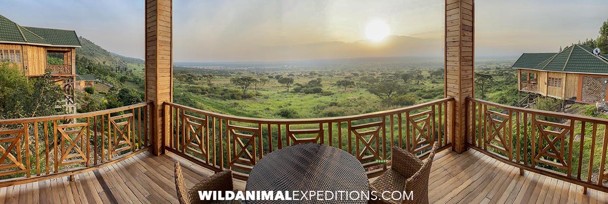Sunset at Parkview Lodge in Queen Elizabeth National Park, Uganda.